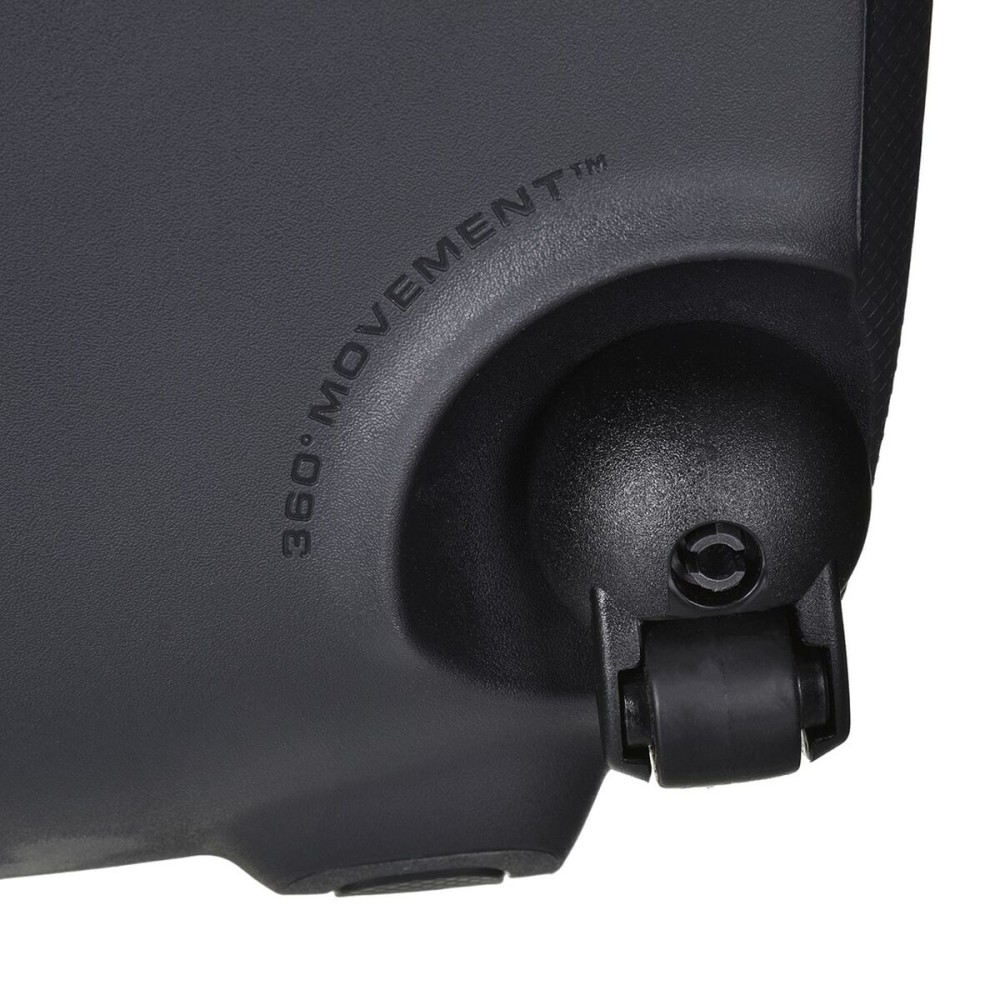 Aspirateur Electrolux EPF63EB-S Noir 700 W