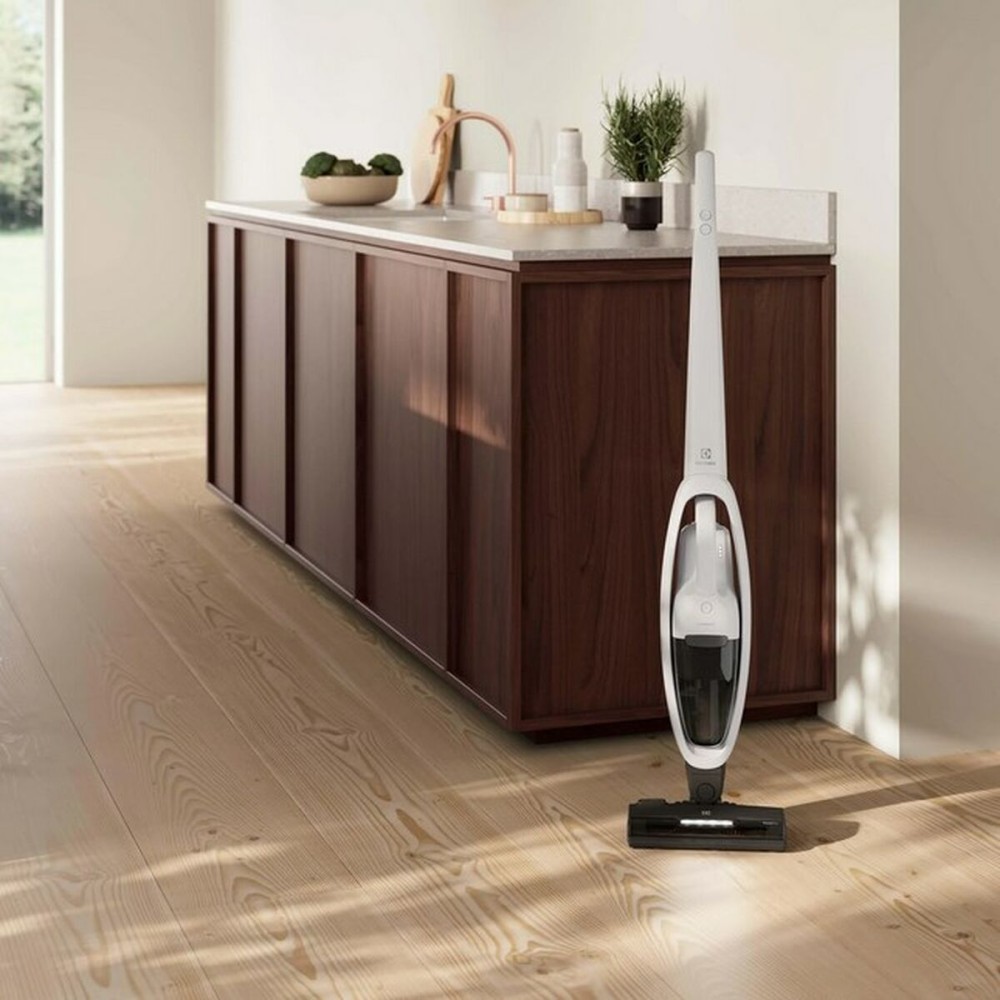 Aspirateur balai Electrolux ES52CB18SH