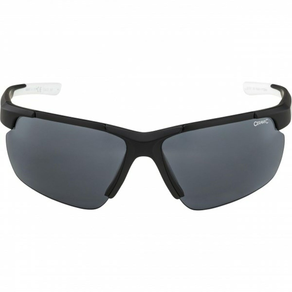 Men's Sunglasses Alpina DEFEY HR