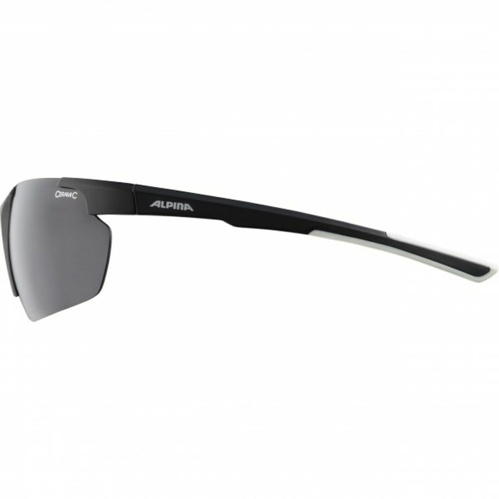 Men's Sunglasses Alpina DEFEY HR