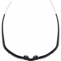 Men's Sunglasses Alpina DEFEY HR