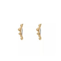 Ladies' Earrings Skagen SKJ1773710