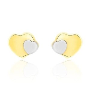 Boucles d´oreilles Femme Stroili 14009112
