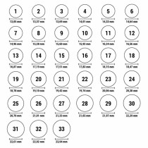 Damenring Stroili 1684033 12