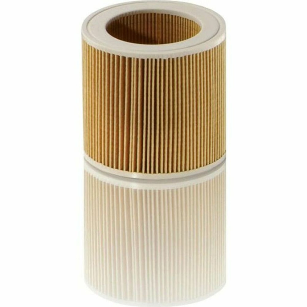 Filtre pour aspirateur Kärcher 64145520