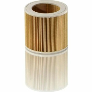 Filtre pour aspirateur Kärcher 64145520