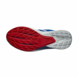 Chaussures de Running pour Adultes Salomon Hypulse Bleu Homme