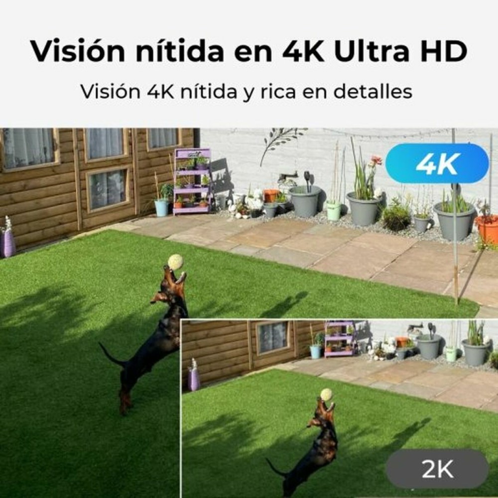 Surveillance Camcorder Reolink P330