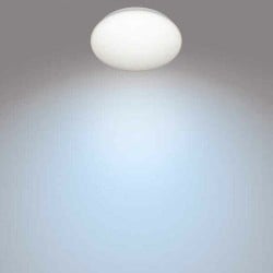 Ceiling Light Philips Plafón White Metal/Plastic 2100 W 10 W (4000 K)