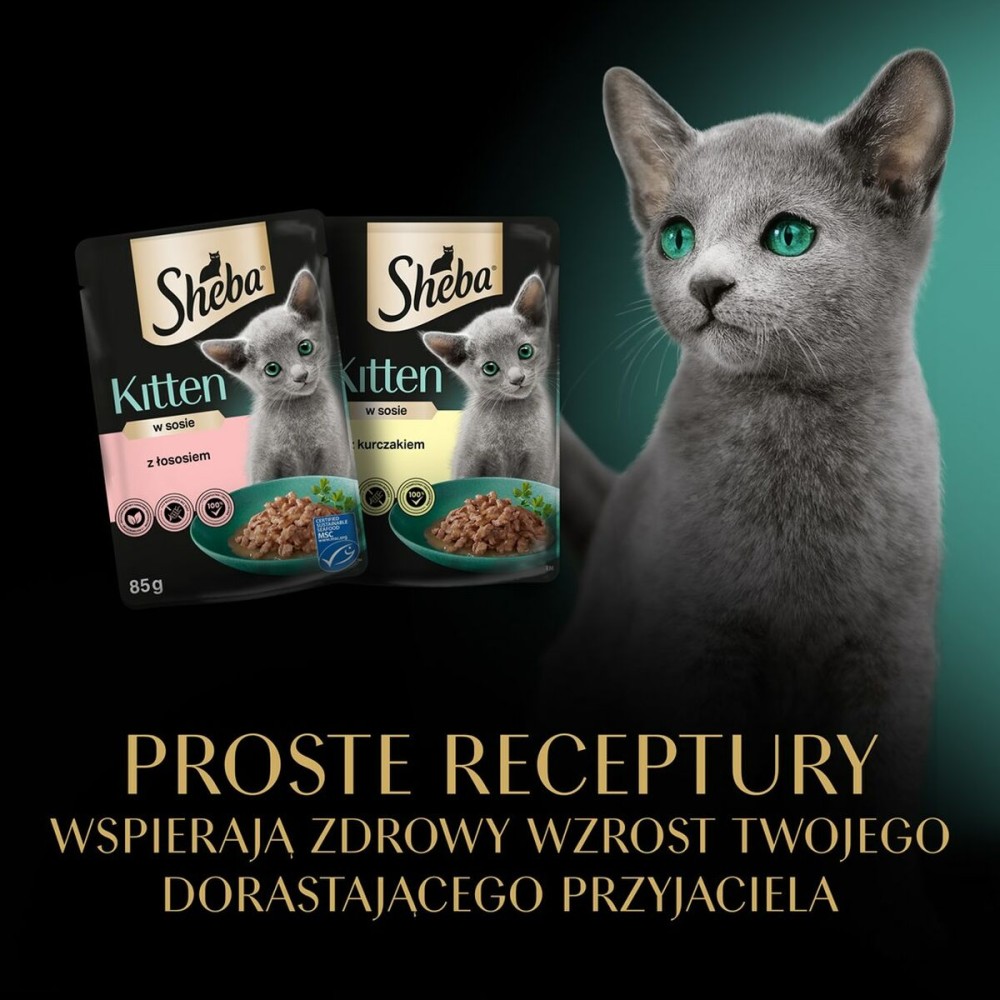 Cat food Sheba Kitten Chicken