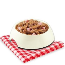 Wet food Agras Pet Foods Sfilaccetti Chicken 100 g