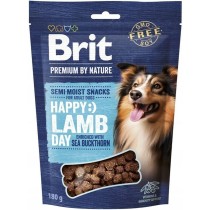 Hundesnack Brit Lamm 180 g