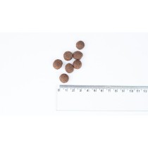 Futter Bult Truthahn 12 kg
