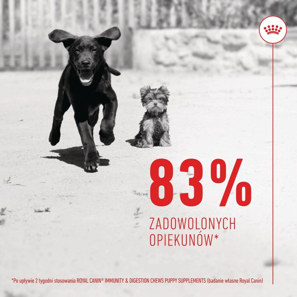 Snack pour chiens Royal Canin Immunity & Digest Puppy 100 g