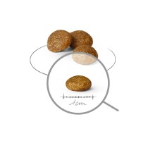 Nourriture Royal Canin Adult x- small SHN Oiseaux 500 g
