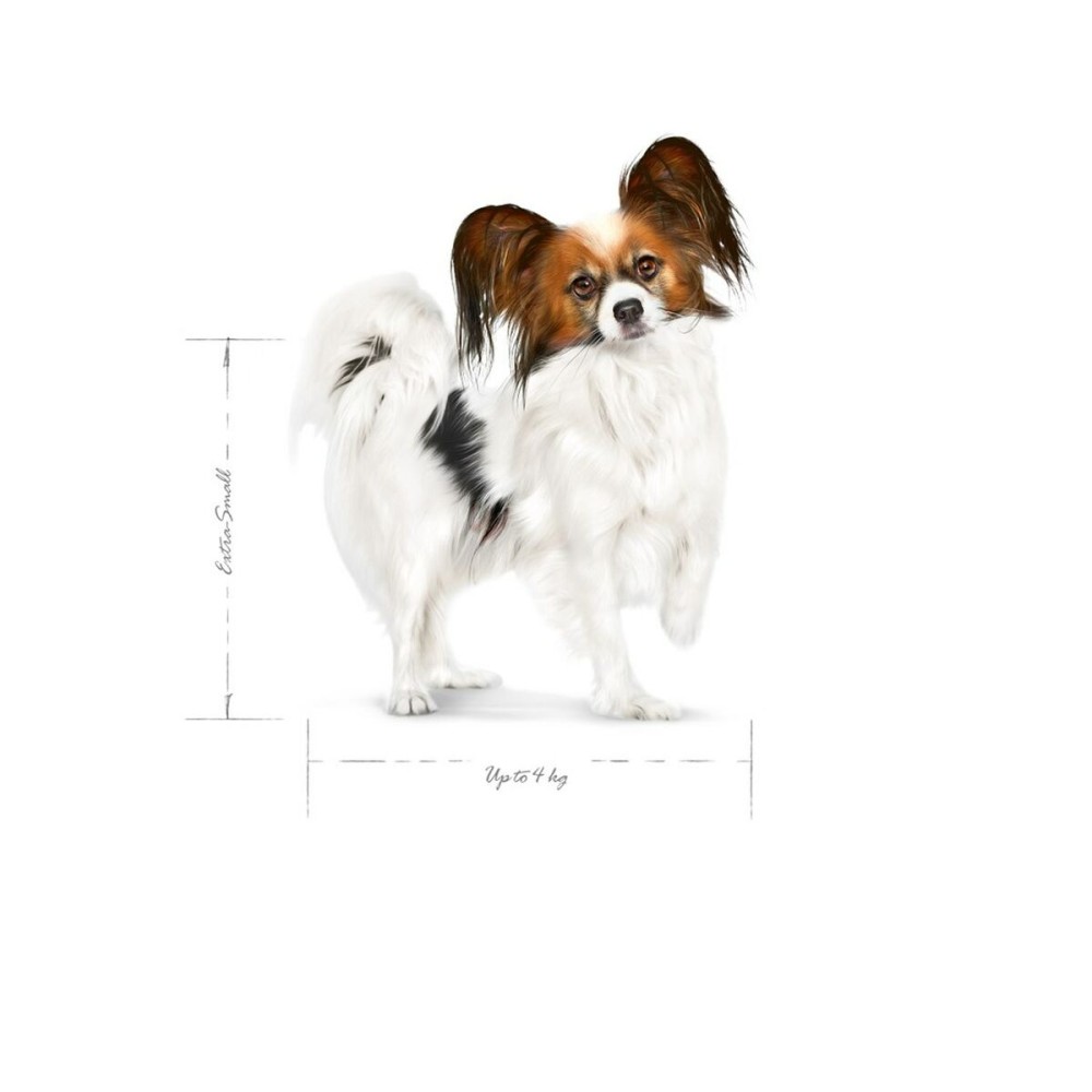 Futter Royal Canin Adult 8+ x- small SHN Vögel 1,5 Kg
