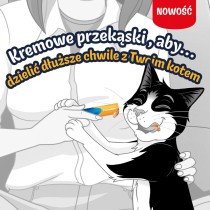 Snack für Katze Purina Felix Deli Moments Chicken Huhn 4 x 10 g