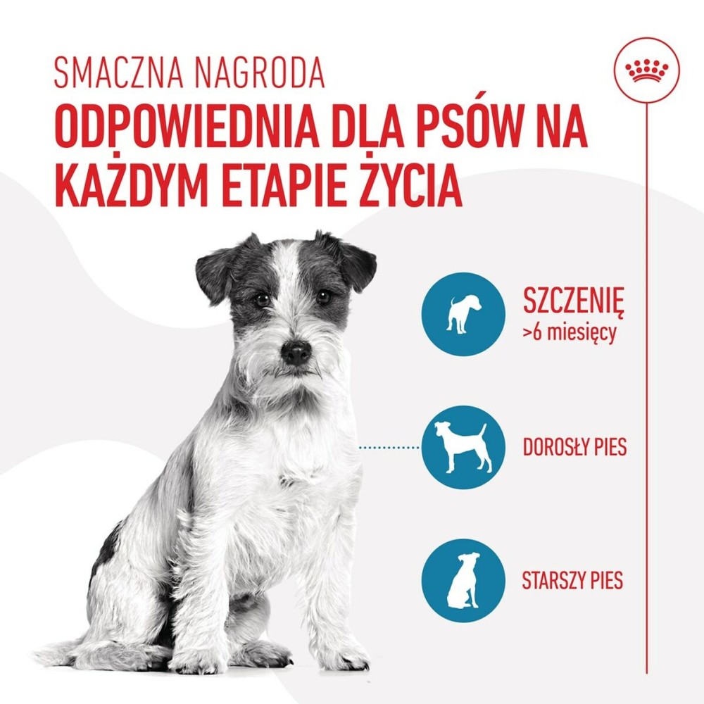 Snack pour chiens Royal Canin Training Treats 110 g