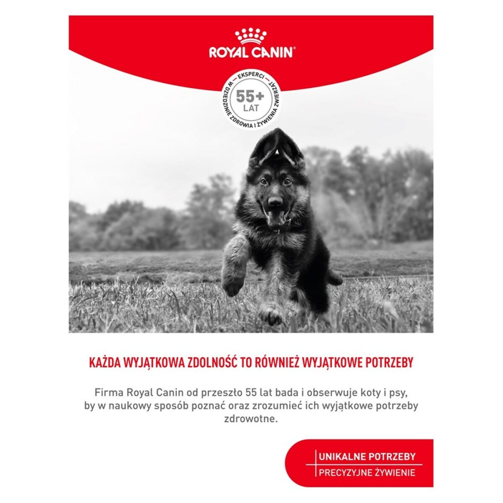 Snack pour chiens Royal Canin Training Treats 110 g