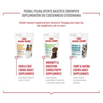 Snack pour chiens Royal Canin Supplements Dog Digestion Adult 160 g