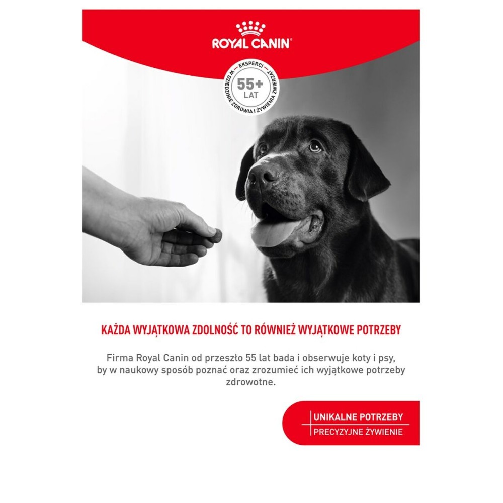 Snack pour chiens Royal Canin Supplements Dog Digestion Adult 160 g