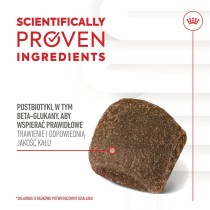 Snack pour chiens Royal Canin Supplements Dog Digestion Adult 160 g