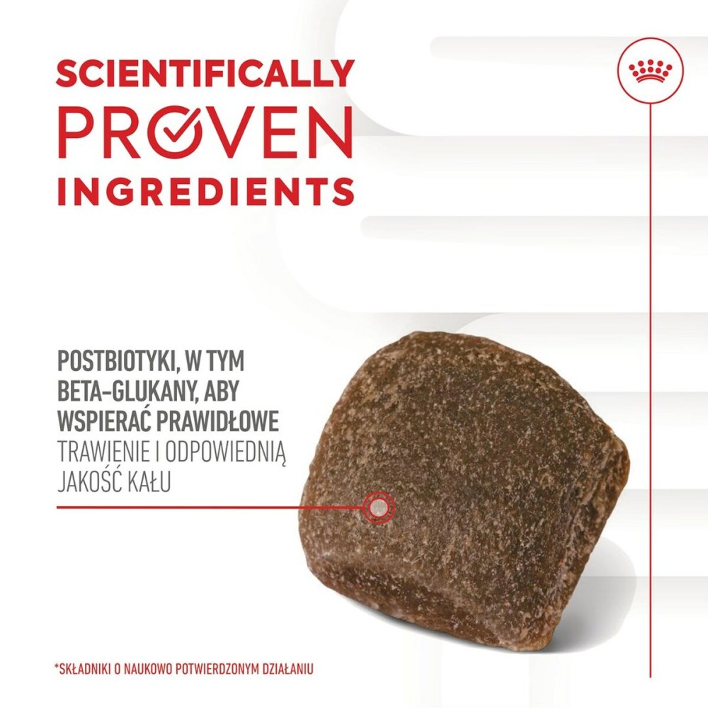 Snack pour chiens Royal Canin Supplements Dog Digestion Adult 160 g