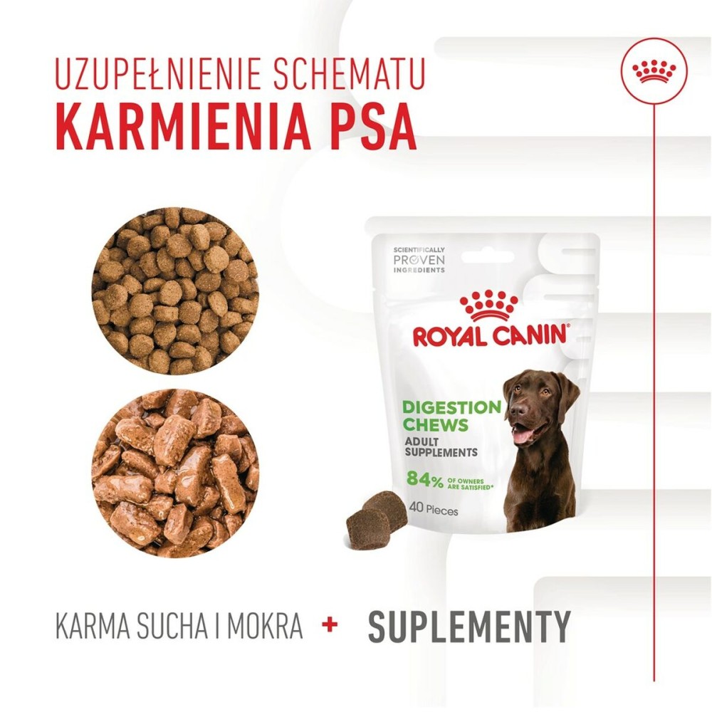 Snack pour chiens Royal Canin Supplements Dog Digestion Adult 160 g