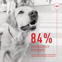 Snack pour chiens Royal Canin Supplements Dog Digestion Adult 160 g