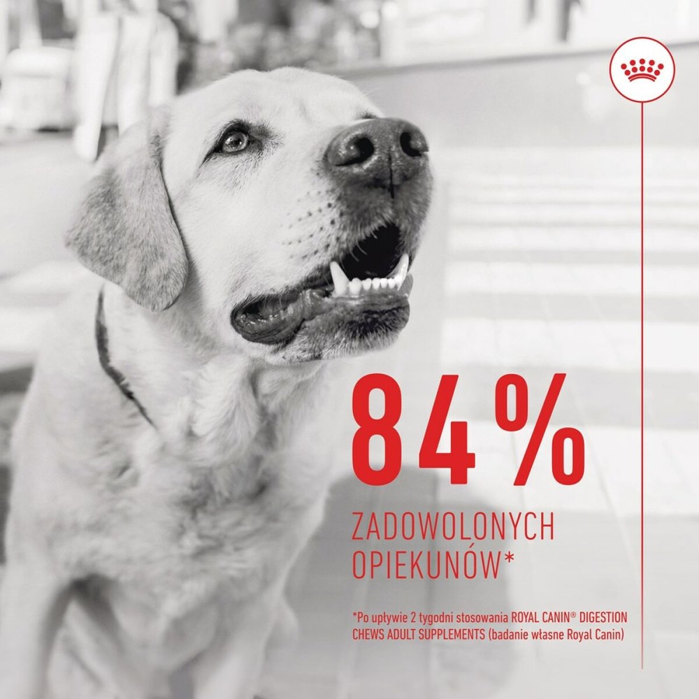 Snack pour chiens Royal Canin Supplements Dog Digestion Adult 160 g