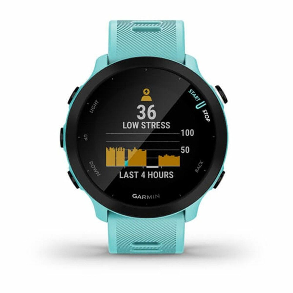 Smartwatch GARMIN 010-02562-12 Blau
