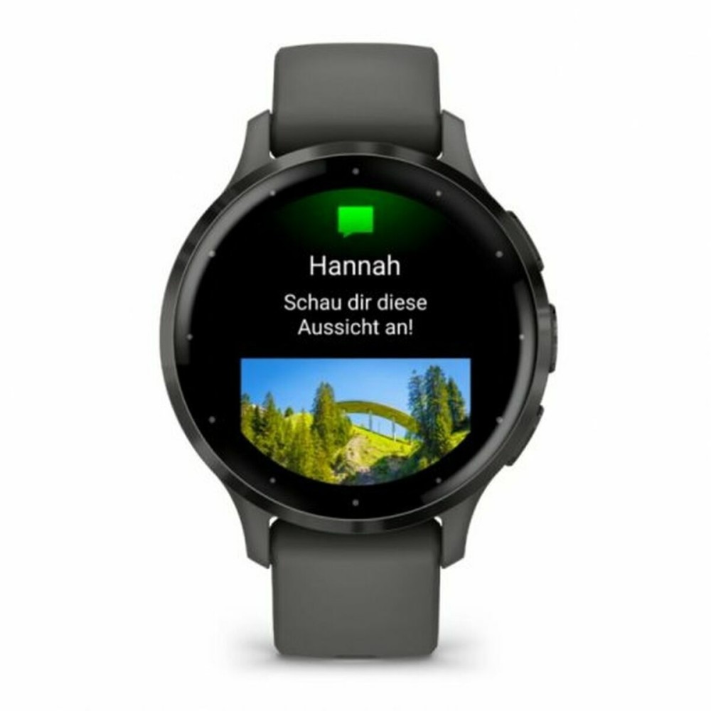 Smartwatch GARMIN 010-02785-00 Grau