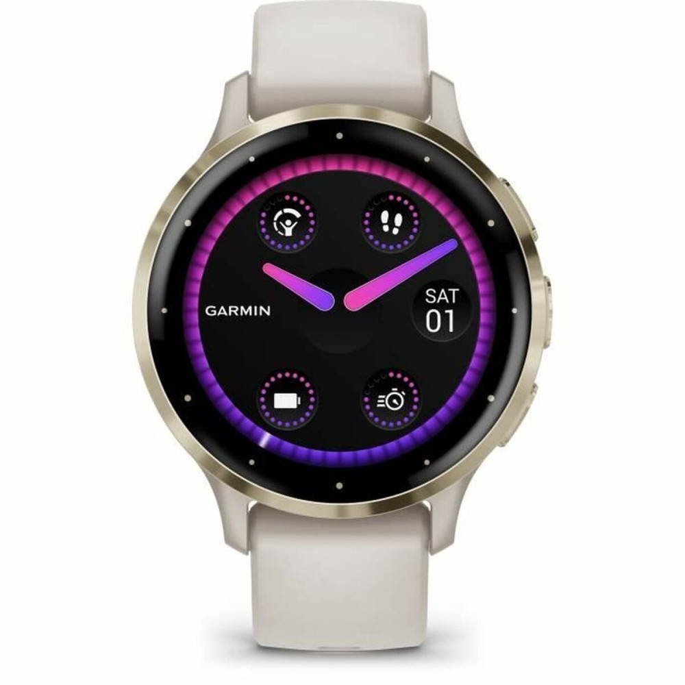 Smartwatch GARMIN 010-02785-00 Grau