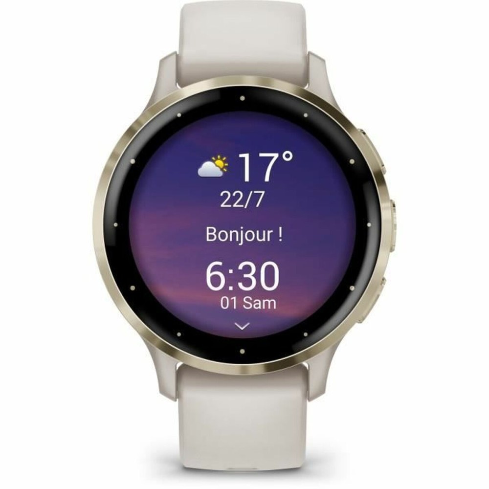 Smartwatch GARMIN 010-02785-00 Grau