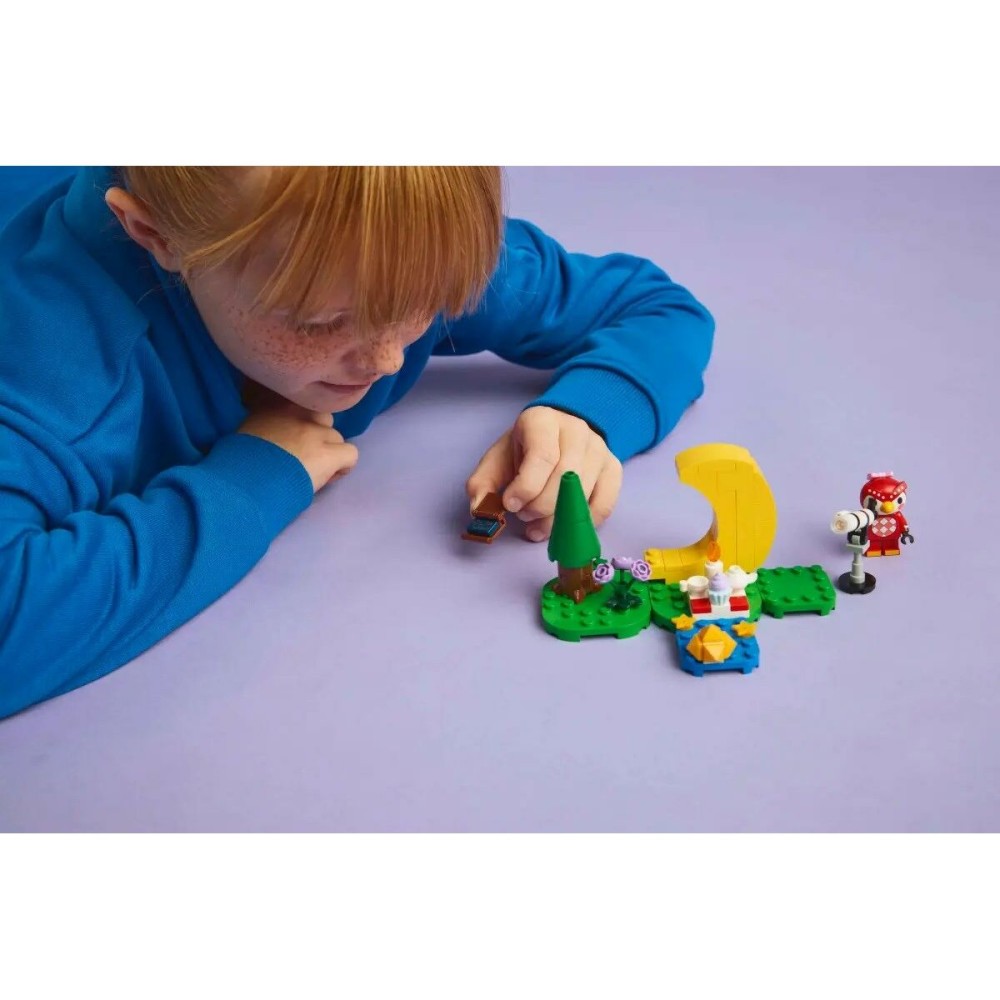 Construction set Lego 77053