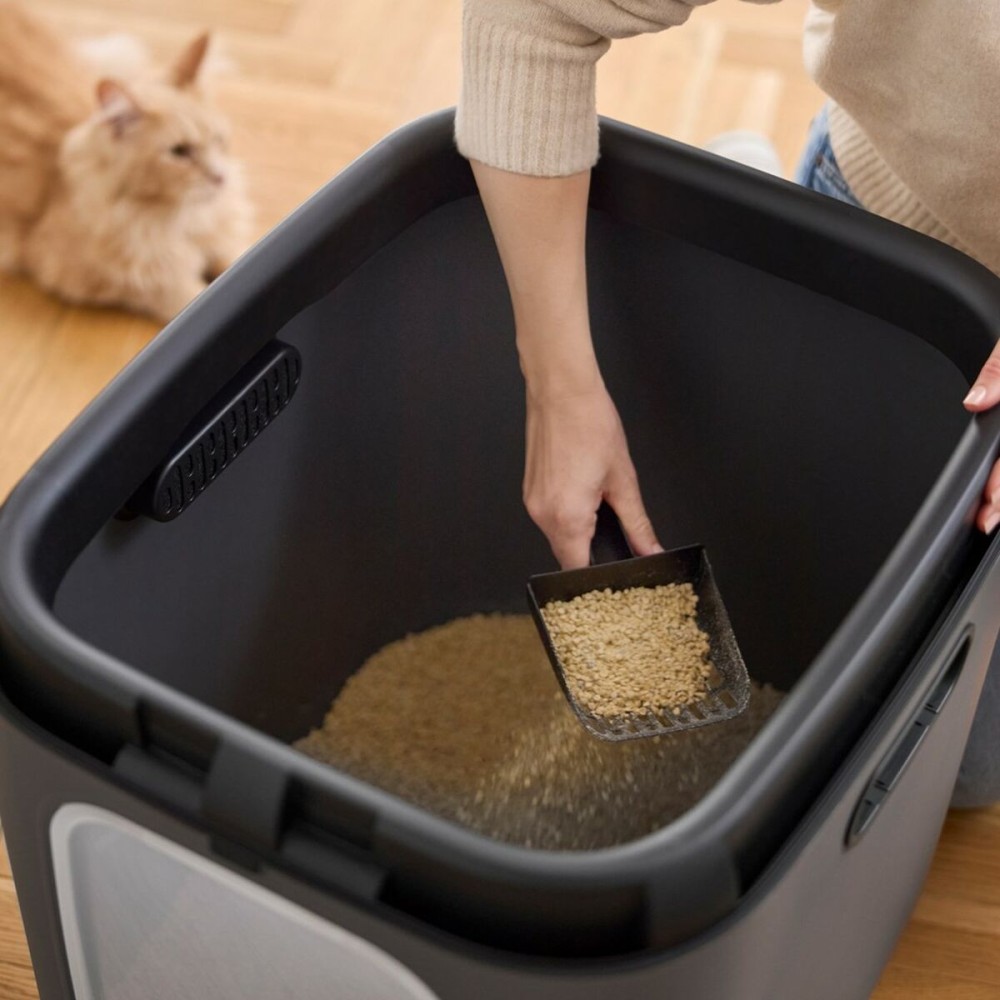 Katzentoilette Rotho Biala XL anthracite Anthrazit Kunststoff