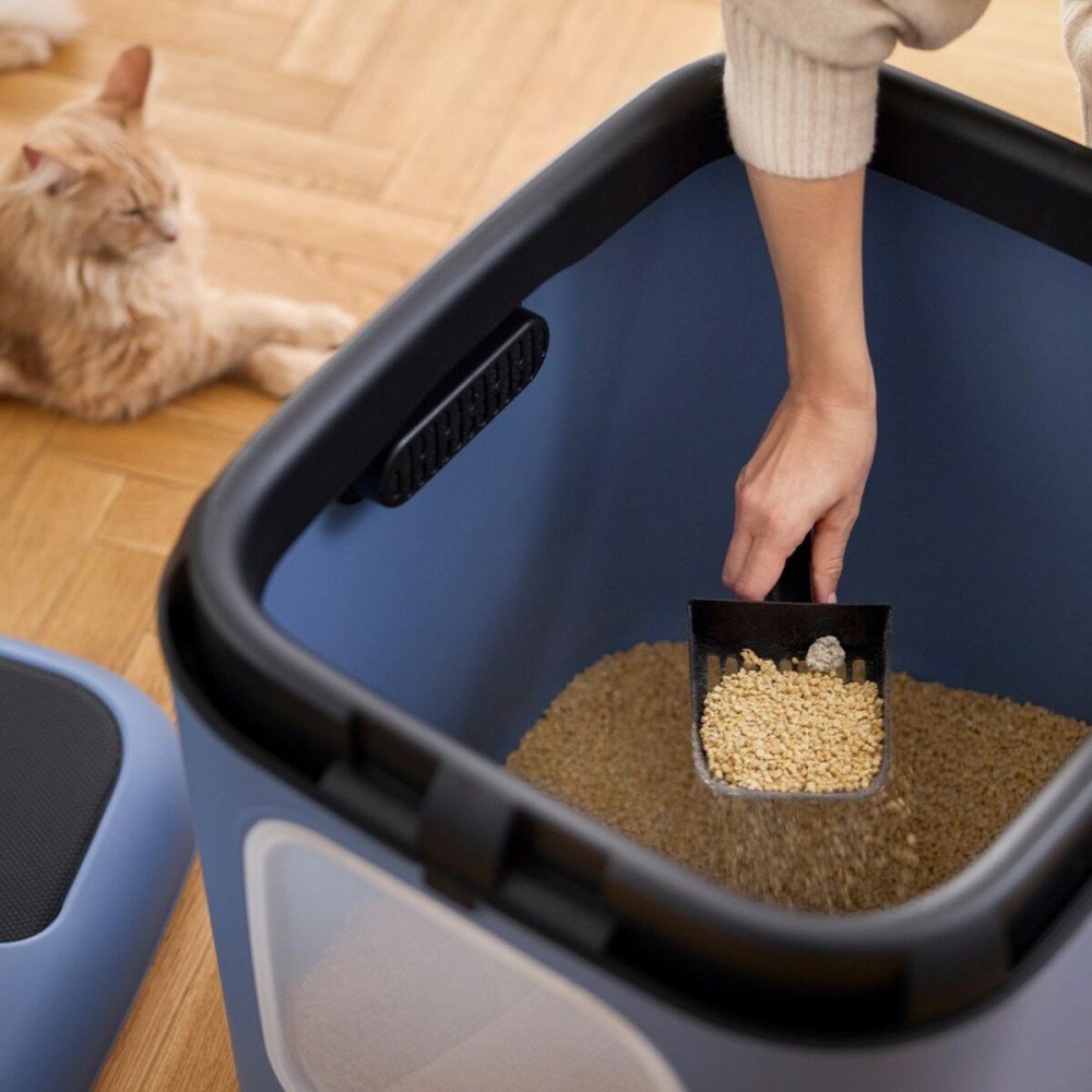 Bac à litière pour chats Rotho Biala XL Bleu Plastique
