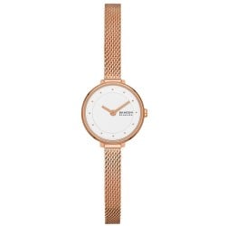 Montre Femme Skagen GITTE LILLE (Ø 22 mm)