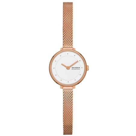 Montre Femme Skagen GITTE LILLE (Ø 22 mm)