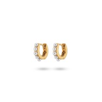 Damenohrringe 24KAE 42419Y Gold