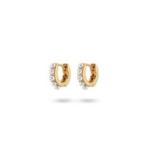 Damenohrringe 24KAE 42419Y Gold