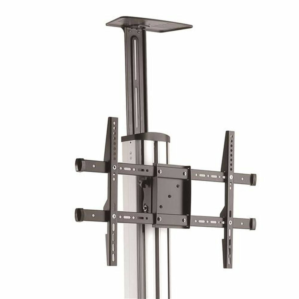 Trolley Startech STNDMTV70 