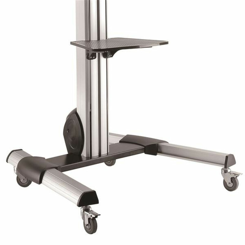 Trolley Startech STNDMTV70 