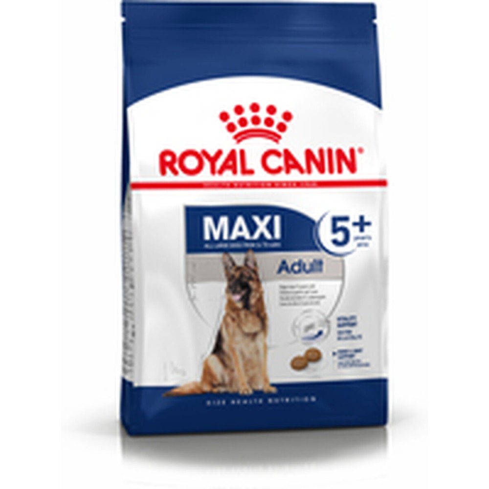 Nourriture Royal Canin Maxi Adult 5+ Adulte Poulet Riz Oiseaux 15 kg