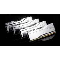 RAM Speicher GSKILL