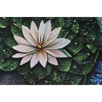 Bild Home ESPRIT Gedruckt 150 x 0,4 x 100 cm