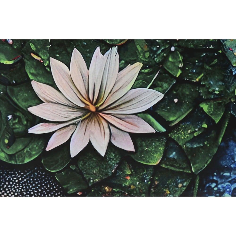 Painting Home ESPRIT Printed 150 x 0,4 x 100 cm