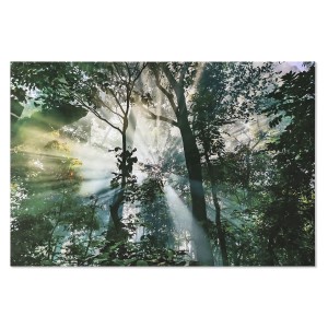 Bild Home ESPRIT grün Gedruckt 150 x 0,4 x 100 cm