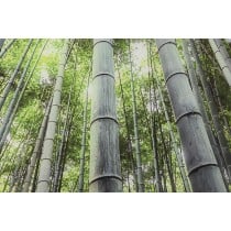 Painting Home ESPRIT Green Printed 150 x 0,4 x 100 cm