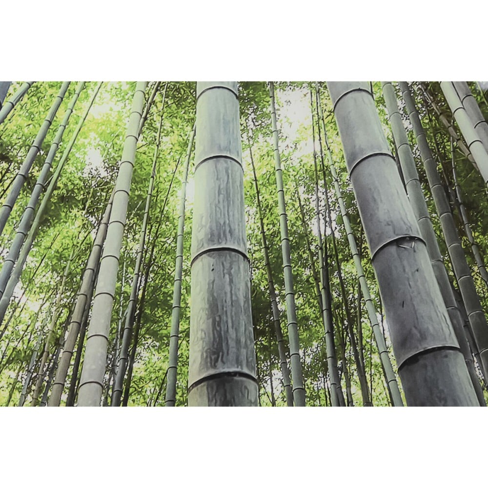 Painting Home ESPRIT Green Printed 150 x 0,4 x 100 cm
